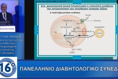 Ευθύμιος Καπάνταης 16ο Πανελλήνιο Διαβητολογικό Συνέδριο